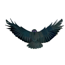 Translation missing: en.sections.featured_product.gallery_thumbnail_alt