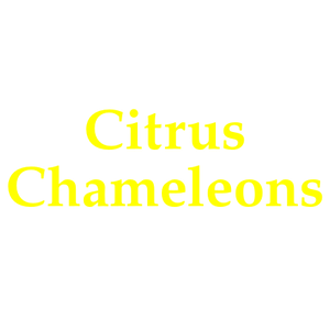 Retro citrus and chameleons