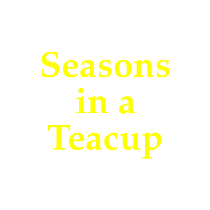 Seasons in a teacup ☕️