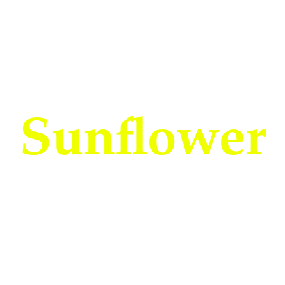 Sunflower 🌻 collection 2023 – Wintersheart