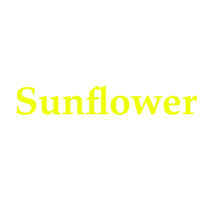 Sunflower 🌻 collection 2023
