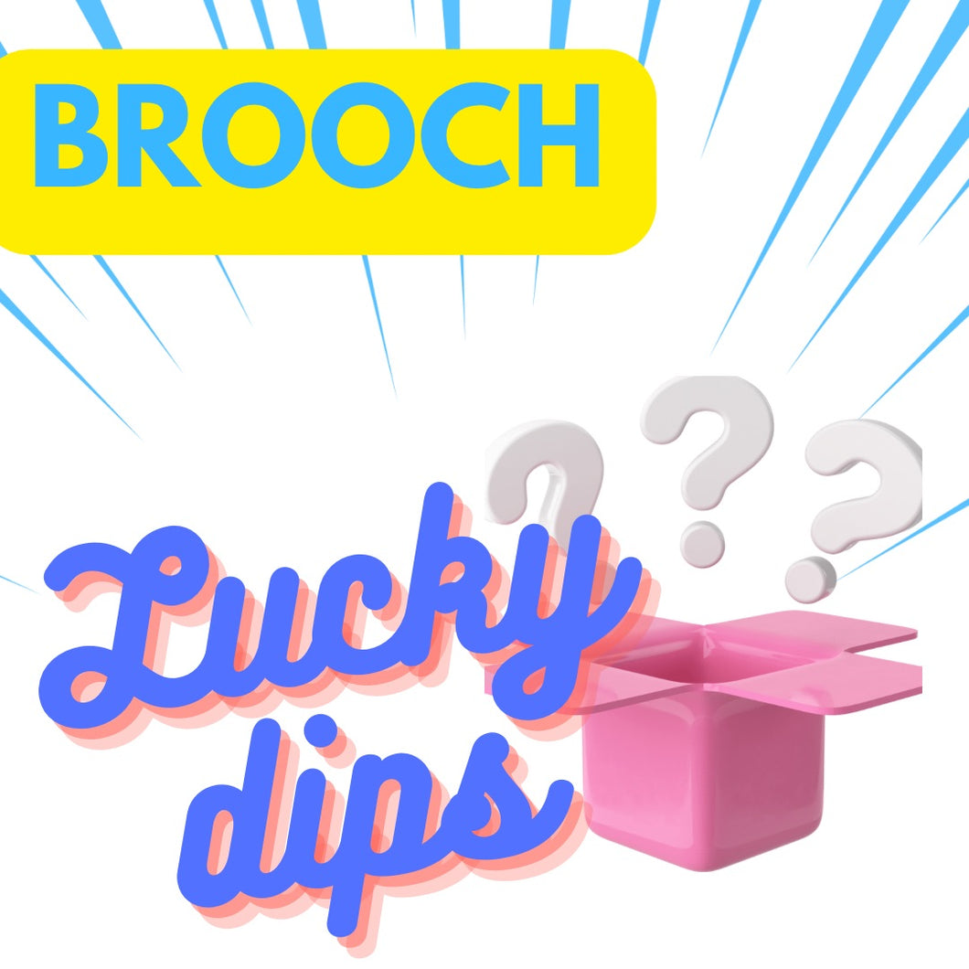 Lucky Dip - a Brooch