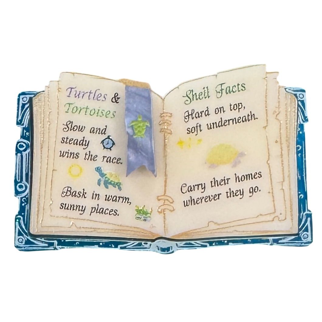 Turtle instruction book - brooch