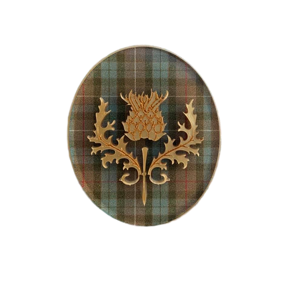 Scottish thistle on clan Fraser tartan - Brooch